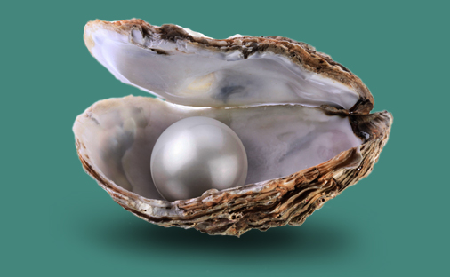 Just $297 and No Monthly Fee PearlSlider01